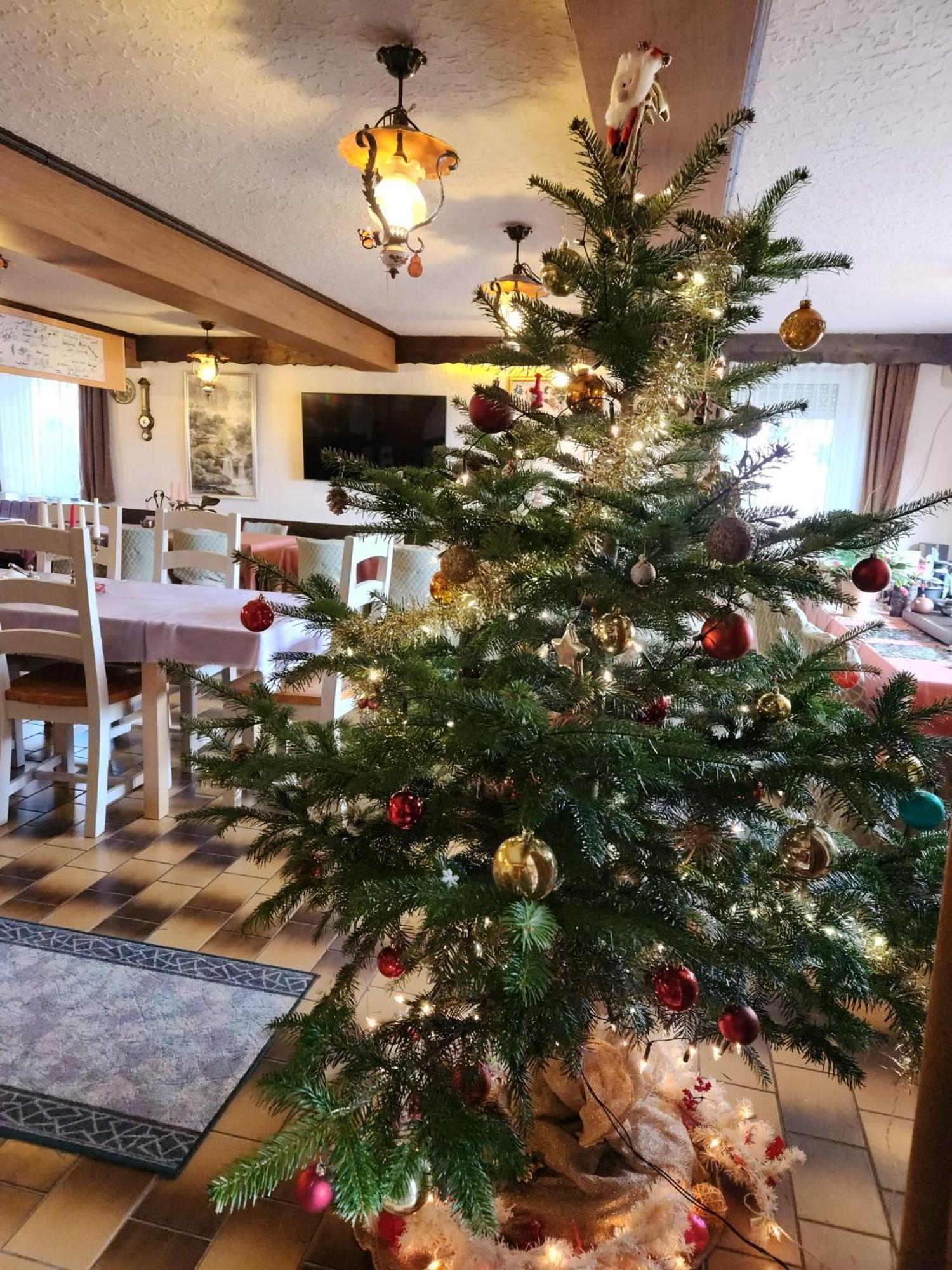 Gasthaus Hochwald Hattgenstein Esterno foto